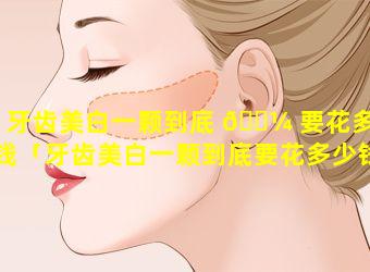 牙齿美白一颗到底 🌼 要花多少钱「牙齿美白一颗到底要花多少钱呀」